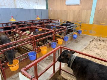 農事法人組合ハイランドファーム荘川-6