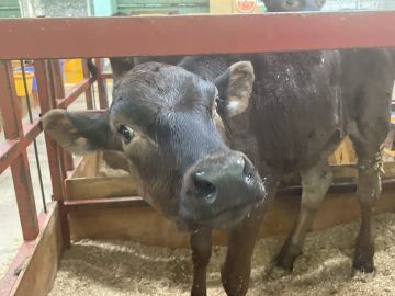 農事法人組合ハイランドファーム荘川-3