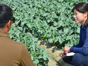 和歌山県和歌山市×資材営業/法人【43250】-top