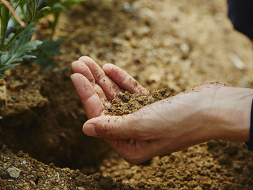 和歌山県和歌山市×資材営業/法人【43250】-4