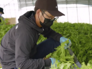 伊都国春菊ファーム-4