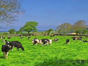 北海道雄武町×酪農/個人【43266】-top