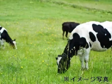 北海道雄武町×酪農/個人【43266】-1