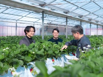 東京都・埼玉県×研究開発/法人【43265】-1