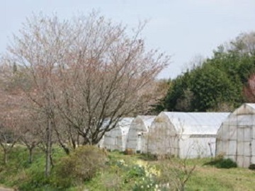 栃木県那須烏山市×野菜・養鶏・稲作/個人【1941】-top