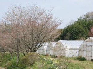 栃木県那須烏山市×野菜・養鶏・稲作/個人【1941】-top