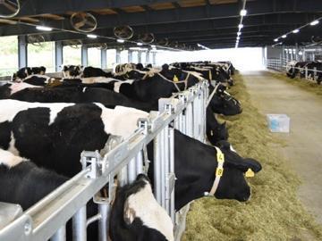 瀬戸内メイプルファーム株式会社(大黒天物産グループ)-1