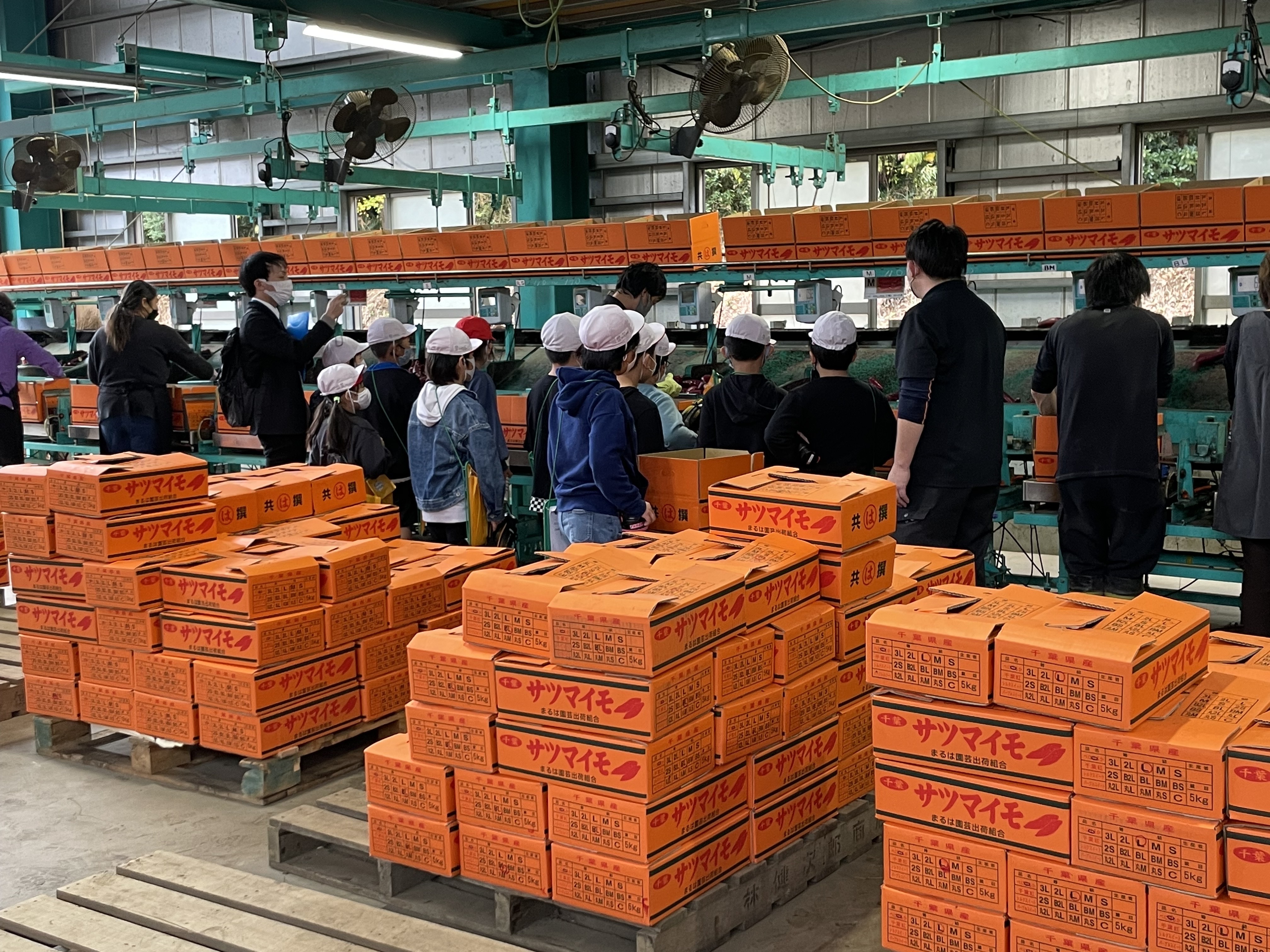まるは株式会社
