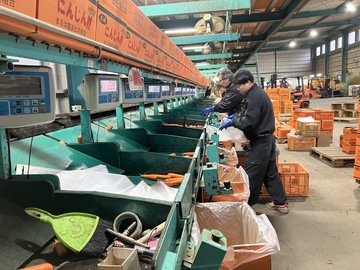 まるは株式会社-1