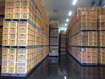 まるは株式会社-8