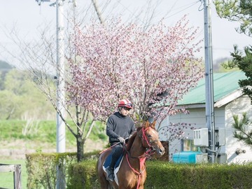 合同会社オーシャンズファーム-1
