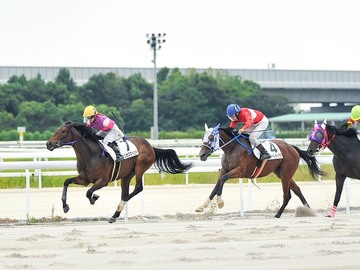 合同会社オーシャンズファーム-2