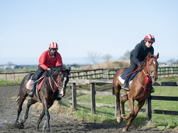 合同会社オーシャンズファーム-top