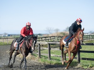 合同会社オーシャンズファーム-top