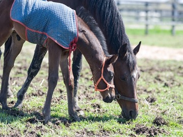 合同会社オーシャンズファーム-4