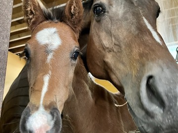 合同会社オーシャンズファーム-6