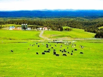 北海道美幌町×酪農/法人【1921】-2
