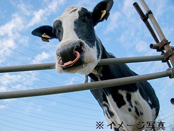 北海道美幌町×酪農(マネージャー)/法人【43271】-top