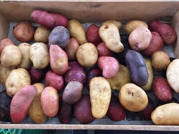 株式会社VIVAFARM-6