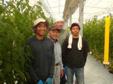 小林農園(本庄市)-top