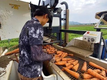 株式会社ファーム-1