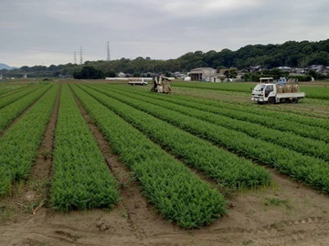 株式会社ファーム-4