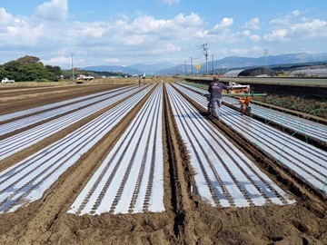 株式会社ファーム-7