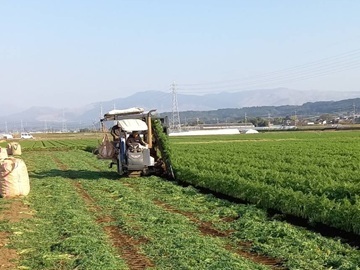 株式会社ファーム-5