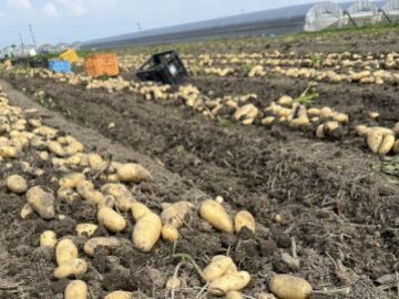 株式会社たかき-3