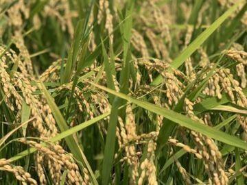 株式会社たかき-7