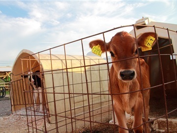 株式会社ナカムラファーム-1