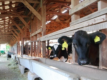 株式会社ナカムラファーム-2