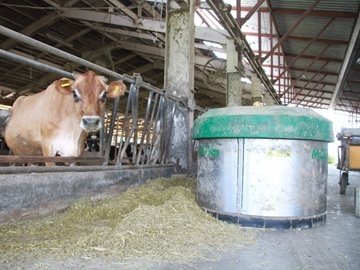 株式会社ナカムラファーム-4