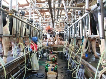 株式会社ナカムラファーム-6