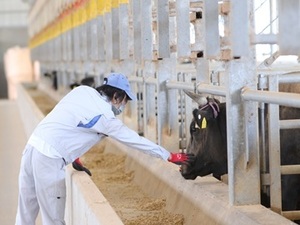 株式会社森辻牧場-top