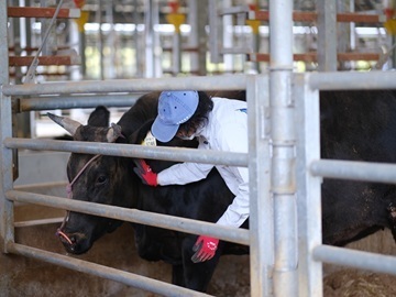 株式会社森辻牧場-1