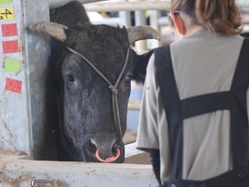 株式会社森辻牧場-3