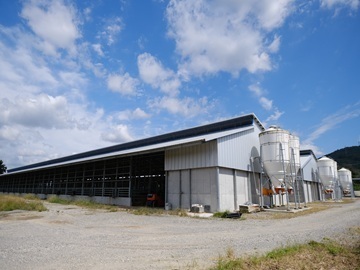 株式会社森辻牧場-4