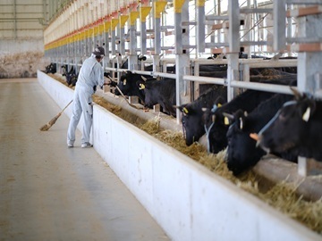 株式会社森辻牧場-6