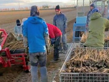 有限会社佐藤農場-7