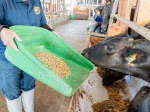 有限会社タムラファーム-top