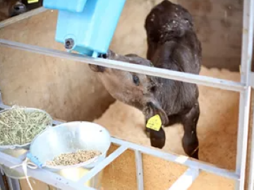 有限会社タムラファーム-3