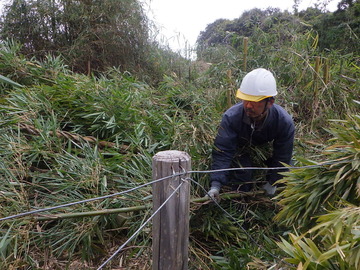 株式会社クロイワ-2