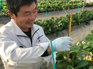 北海道・千葉県・熊本県×研究企画開発/法人【43283】-top