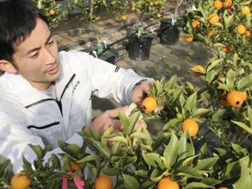 北海道・千葉県・熊本県×研究企画開発/法人【43283】-2