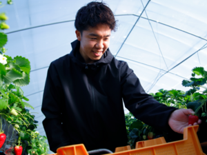 藤井農園(奈良)-top