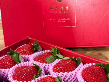 藤井農園(奈良)-6