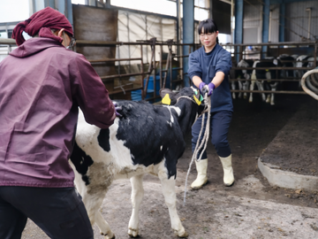 株式会社保延牧場-7