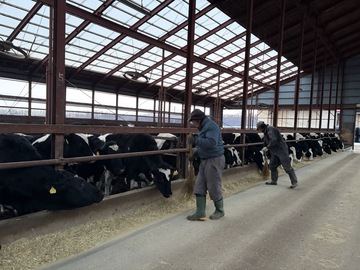 株式会社渡邉肉牛牧場-6