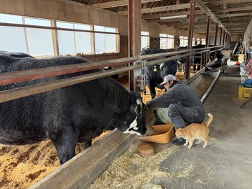 株式会社渡邉肉牛牧場-4